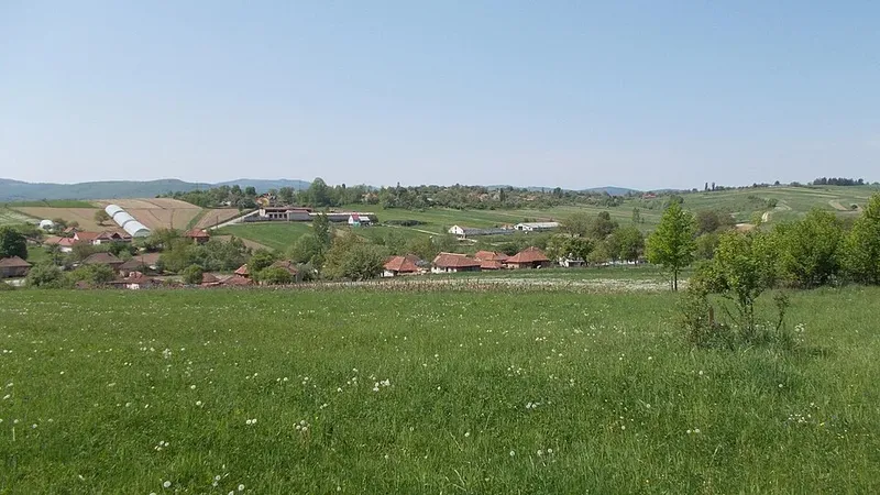 Bihor 2