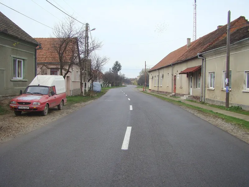 Drum bihor