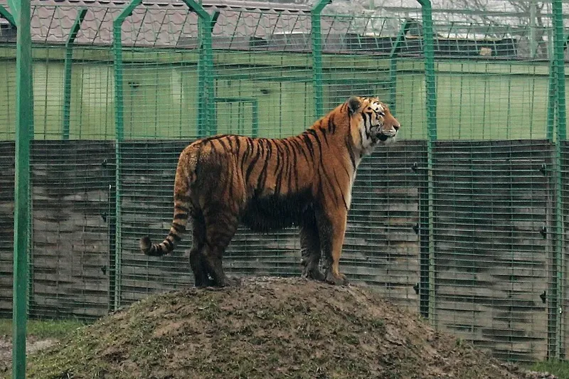Zoo Oradea